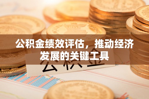保税区公积金绩效评估，推动经济发展的关键工具