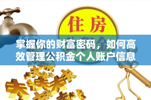 大安掌握你的财富密码，如何高效管理公积金个人账户信息