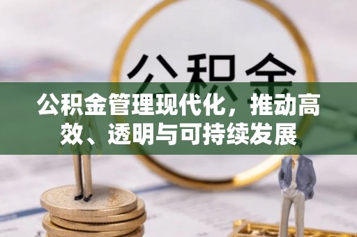 新泰公积金管理现代化，推动高效、透明与可持续发展