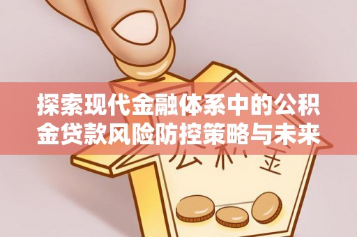 博野探索现代金融体系中的公积金贷款风险防控策略与未来发展趋势