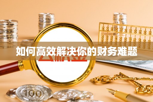 麻章如何高效解决你的财务难题