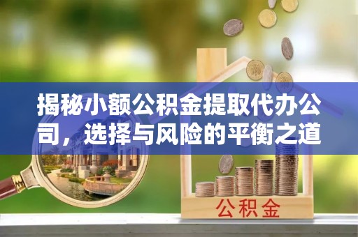 租赁揭秘小额公积金提取代办公司，选择与风险的平衡之道