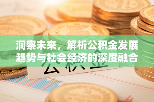 高阳洞察未来，解析公积金发展趋势与社会经济的深度融合